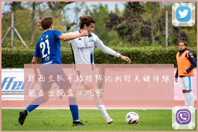 新西兰队辛格对阵比利时关键传球能否出现盘口观察