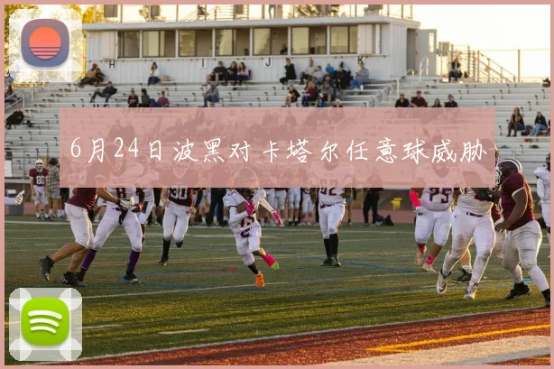 6月24日波黑对卡塔尔任意球威胁